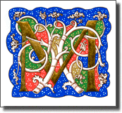 Calligraphy, lettering & illumination: White vine M